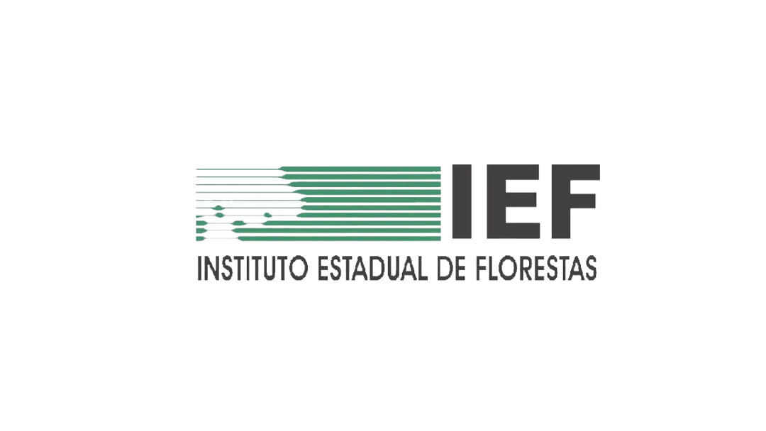 IEF.png