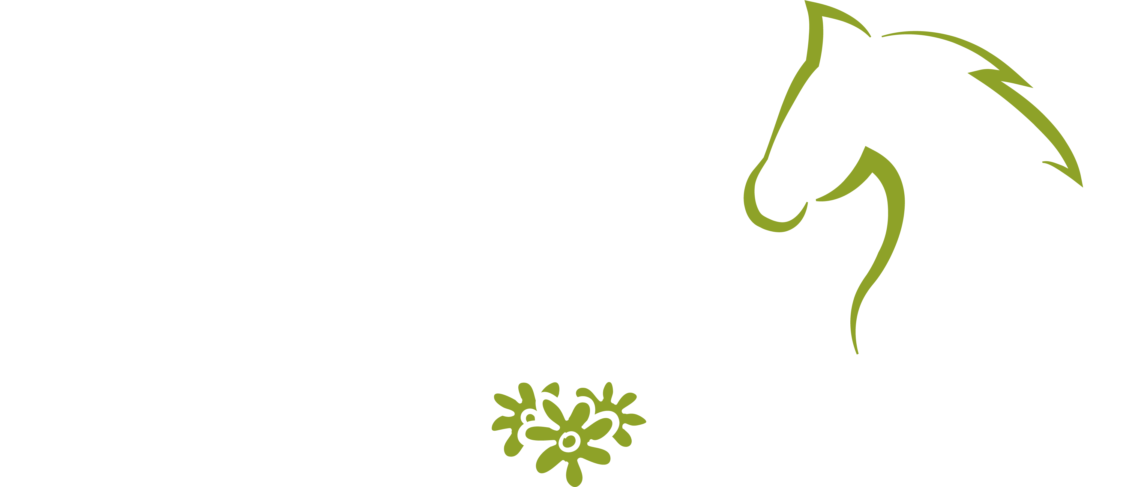 condadoslogo2.png